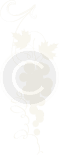 Shape-9.png