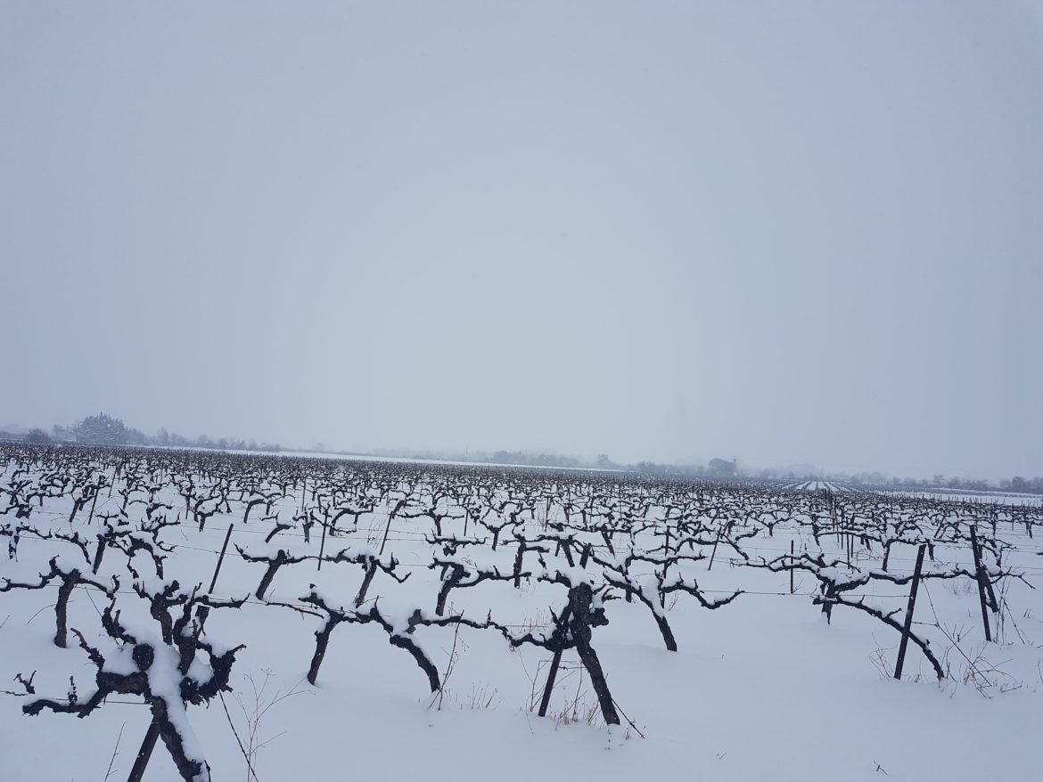 20180228_151238.jpg