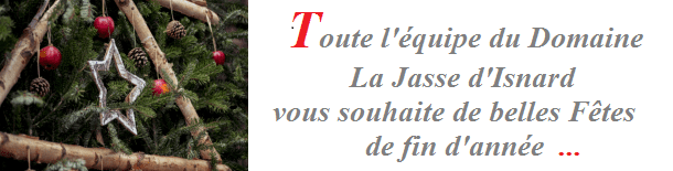 fete-de-fin-d-année-2018.png