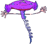 vin-image-animee-0017.gif